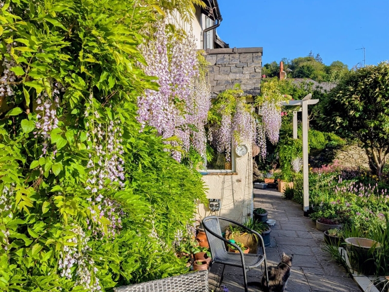 Primrose Cottage